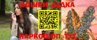 индика Лениногорск