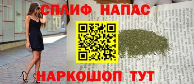 индика Лениногорск