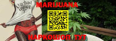индика Лениногорск