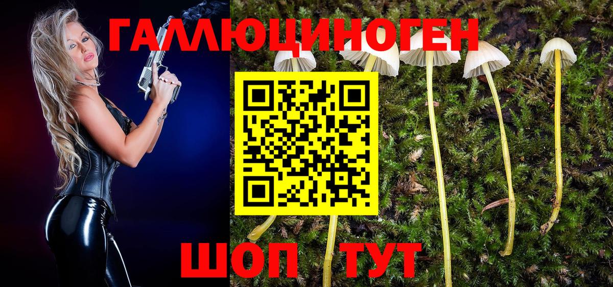 Гашиш  Канабис  Каменск-Уральский  Метадон  Кетамин  Вход с VPN  МЕФ  